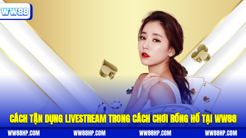 Cách tận dụng livestream trong cách chơi Rồng Hổ tại WW88