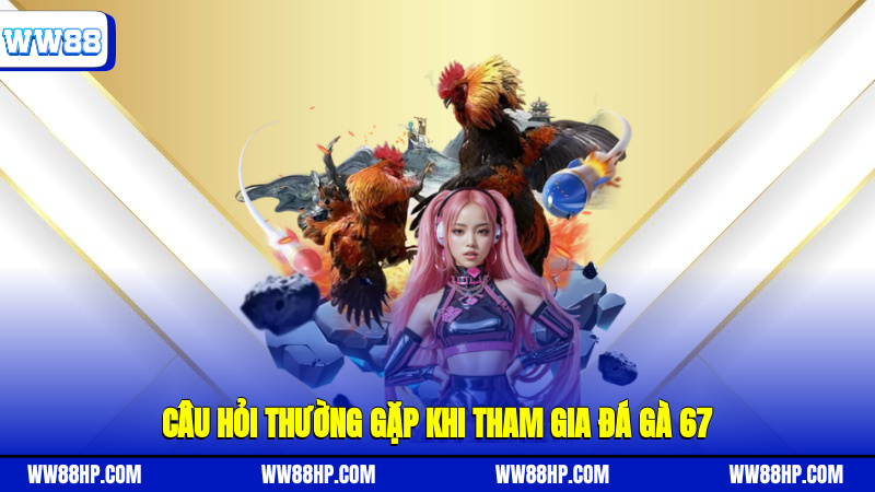 Câu hỏi thường gặp khi tham gia đá gà 67