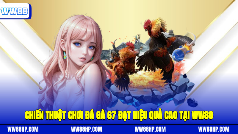 Chiến thuật chơi đá gà 67 đạt hiệu quả cao tại WW88