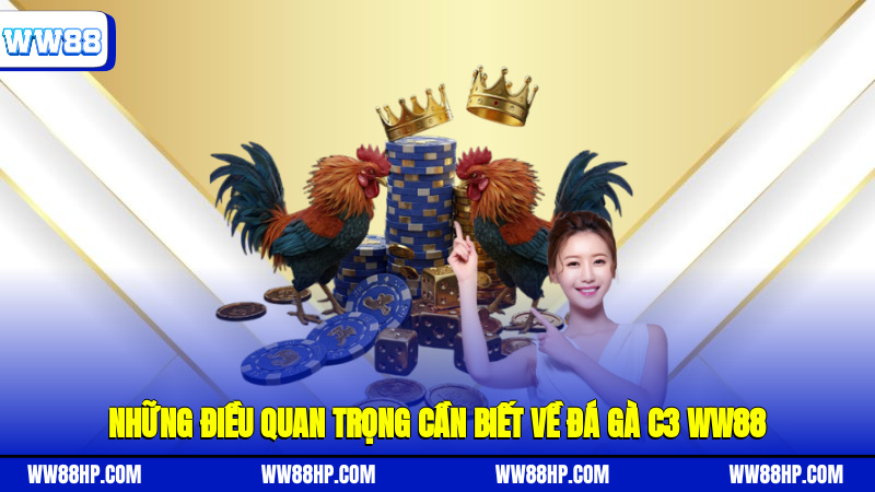 Những điều quan trọng cần biết về đá gà C3 WW88