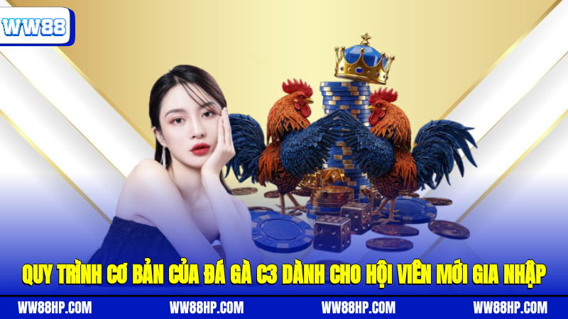 Quy trình cơ bản của đá gà C3 dành cho hội viên mới gia nhập
