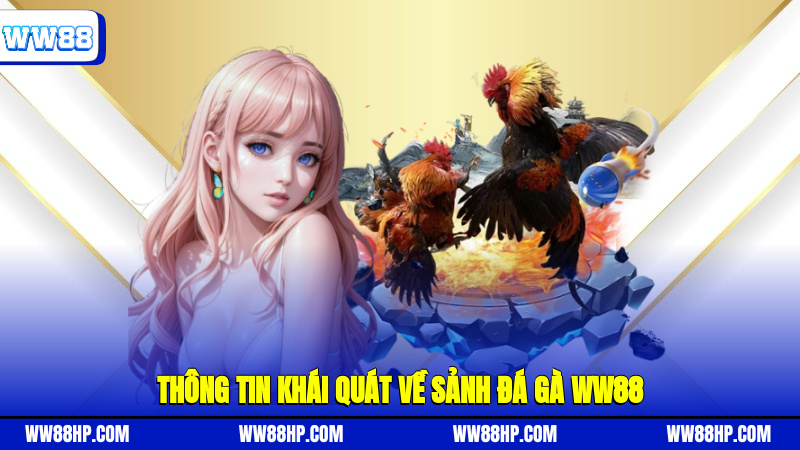 Thông tin khái quát về sảnh đá gà WW88