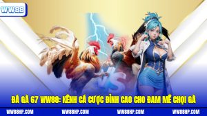 đá gà 67