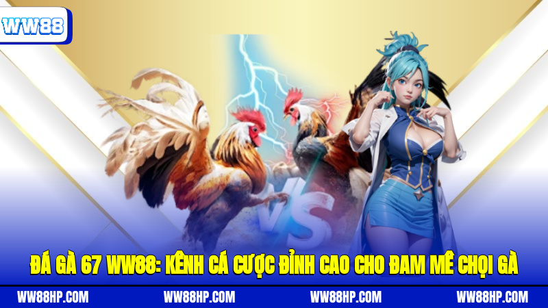 đá gà 67